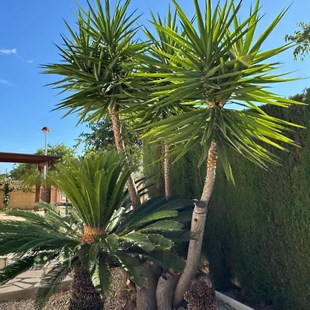 Вилла 0533 Laura